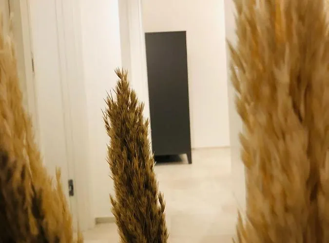 L Antico Forno Centro Storico Bed & Breakfast Bari